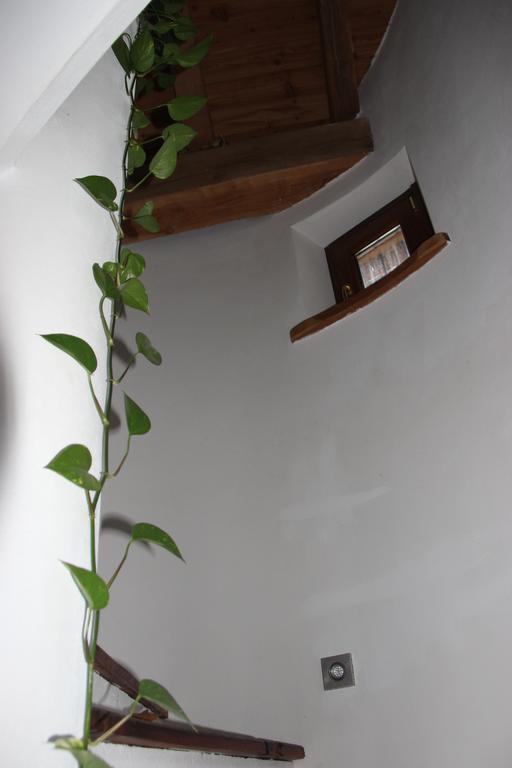 Villa La Tour Nus Zewnętrze zdjęcie